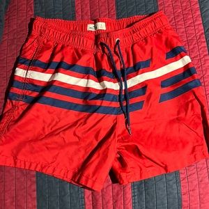 Hollister swim shorts